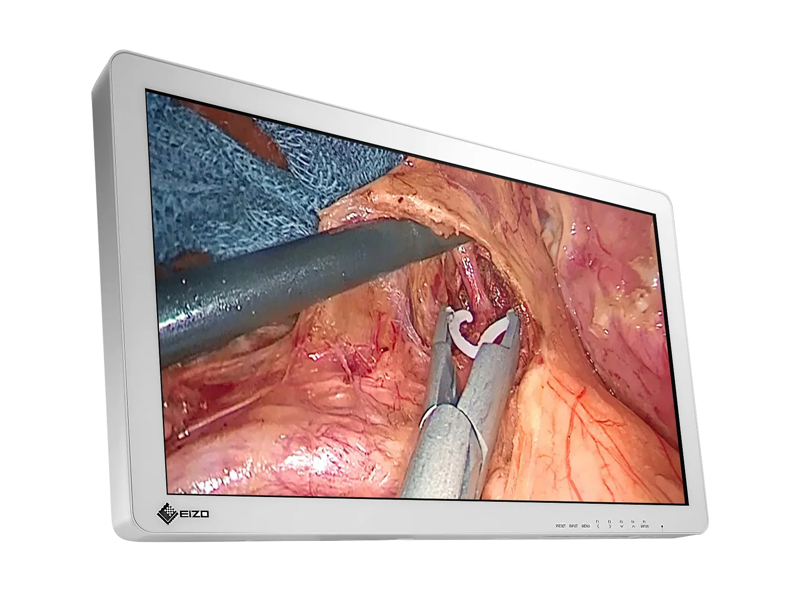 Eizo 27" FHD Surgical Endoscopy Medical Display Monitor (EX2721) - Image 2